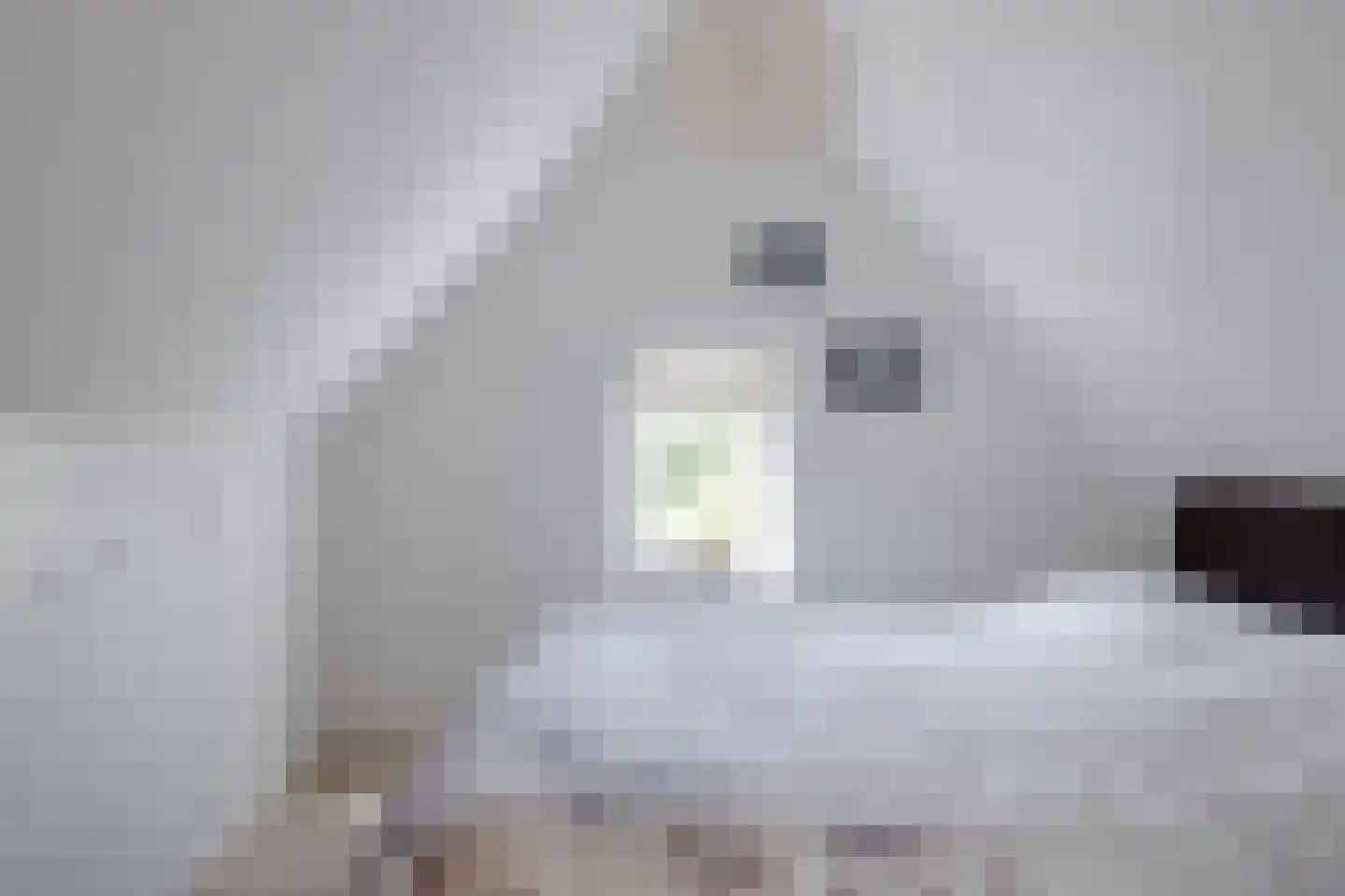 Het Kalverpad 7 Oostzaan thumbnail 22