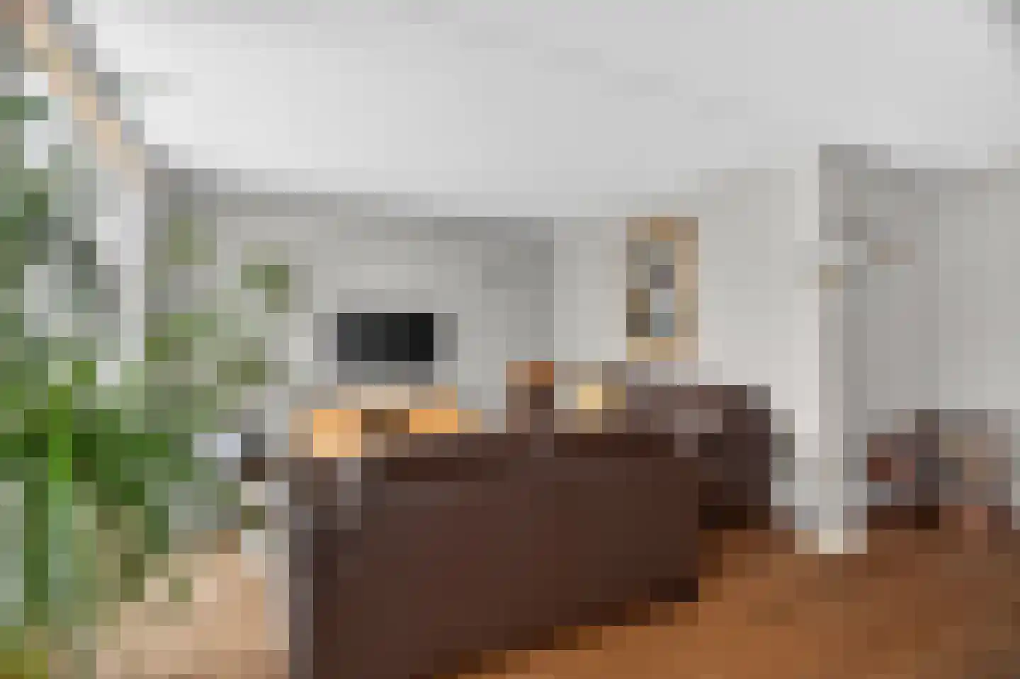 Het Kalverpad 7 Oostzaan thumbnail 24