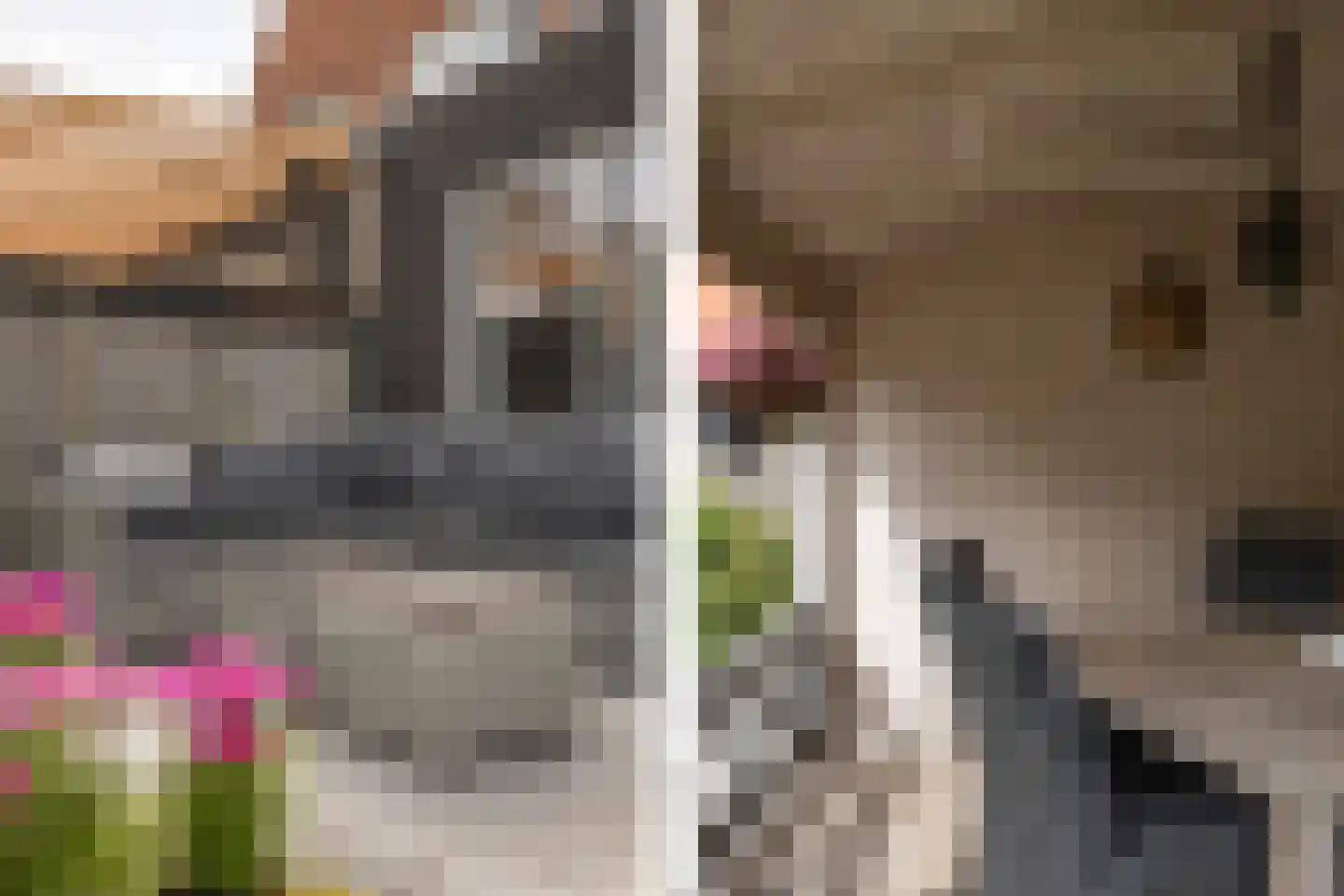 Het Kalverpad 7 Oostzaan thumbnail 25