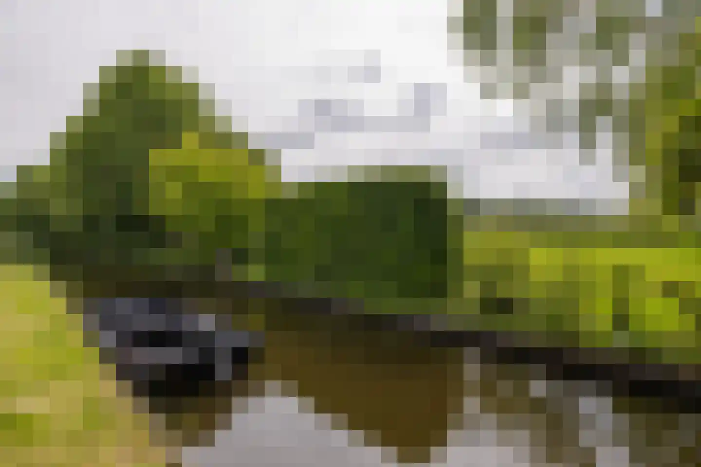 Het Kalverpad 7 Oostzaan thumbnail 29