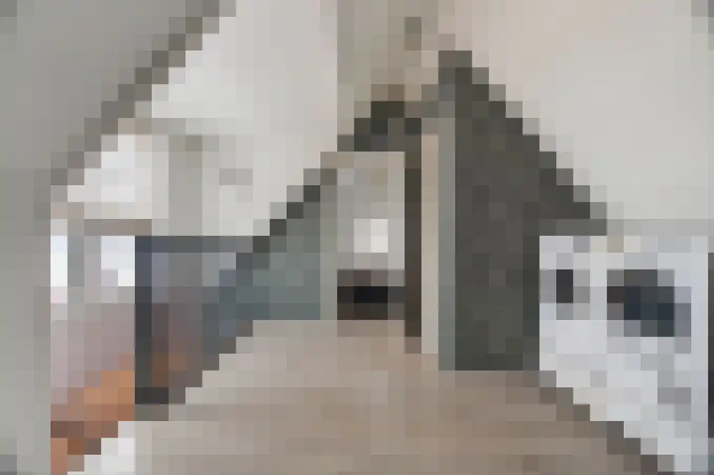 Het Kalverpad 7 Oostzaan thumbnail 49