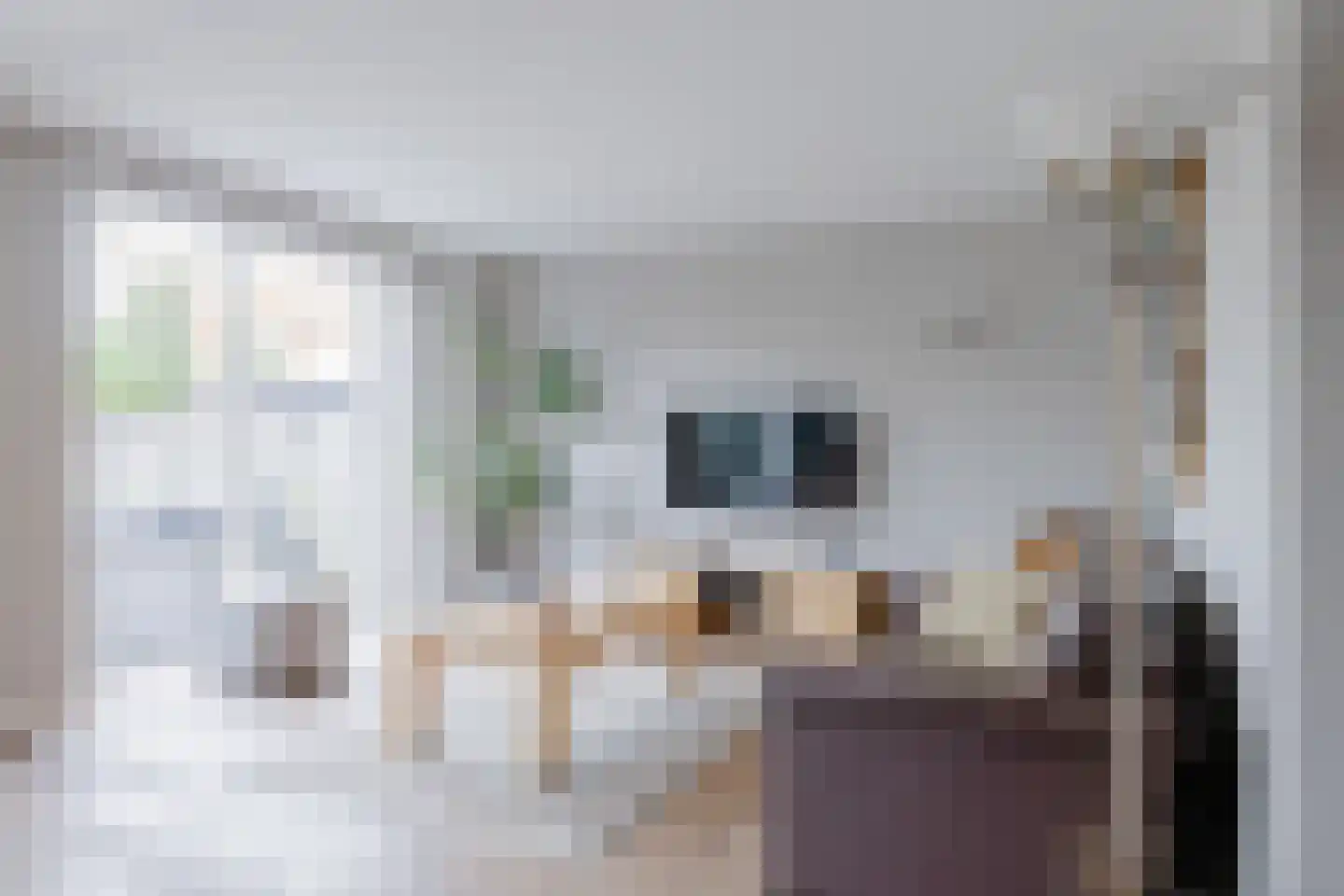 Het Kalverpad 7 Oostzaan thumbnail 5