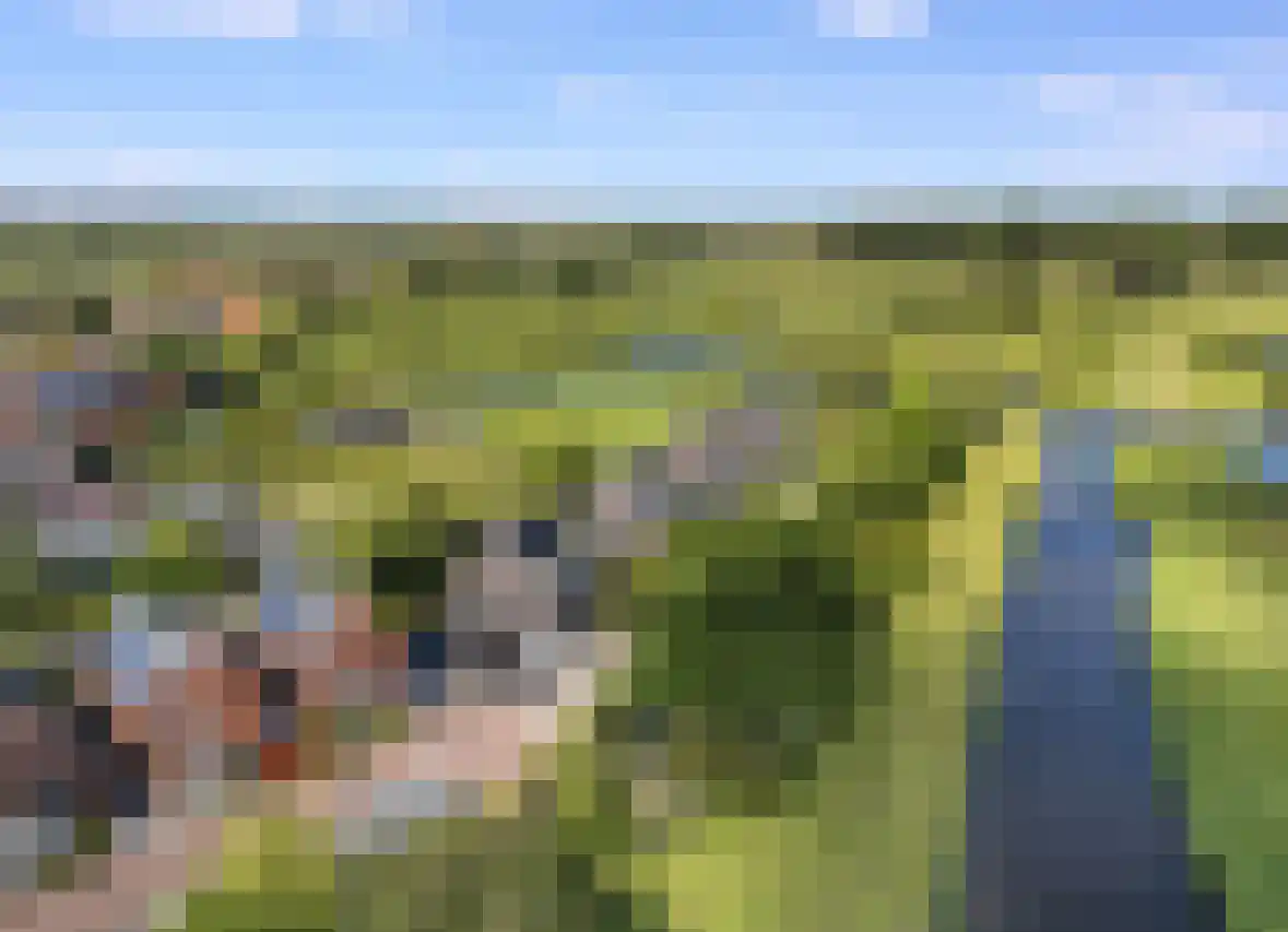 Het Kalverpad 7 Oostzaan thumbnail 58