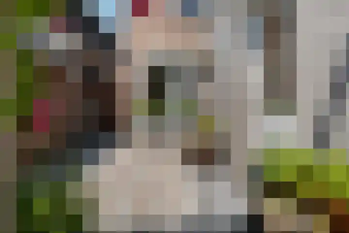 het Kanaal 18 Assen thumbnail 38
