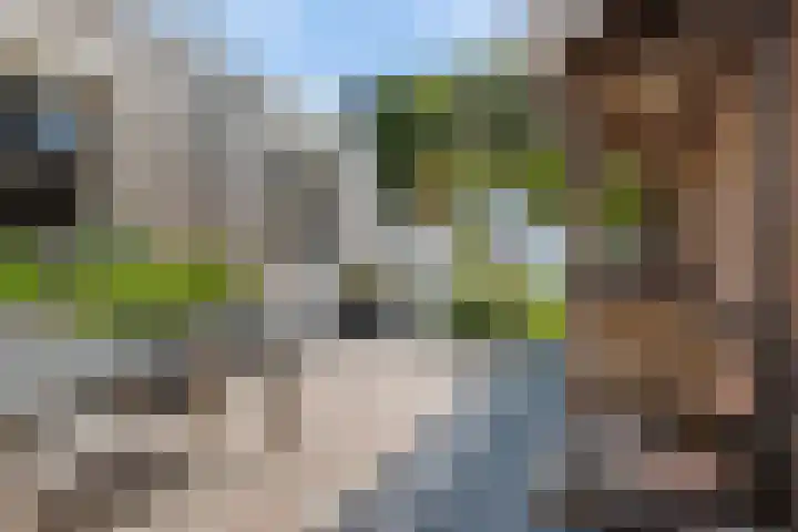 het Kanaal 18 Assen thumbnail 41