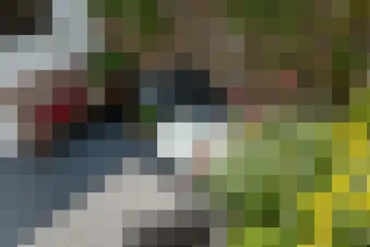 het Kanaal 18 Assen thumbnail 42