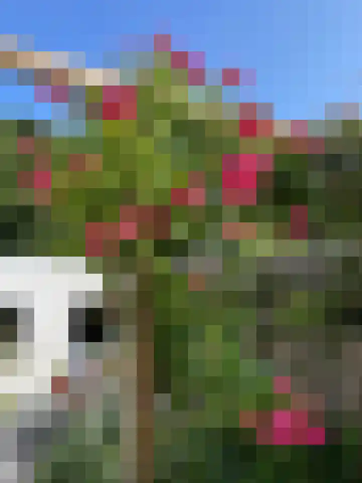 het Kanaal 18 Assen thumbnail 44