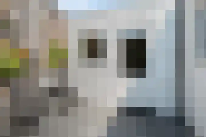 het Kanaal 18 Assen thumbnail 45