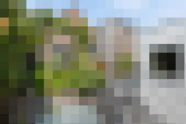 het Kanaal 18 Assen thumbnail 5