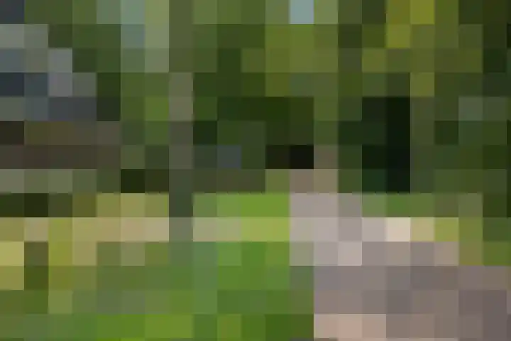 het Kanaal 18 Assen thumbnail 50