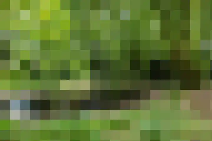 het Kanaal 18 Assen thumbnail 51