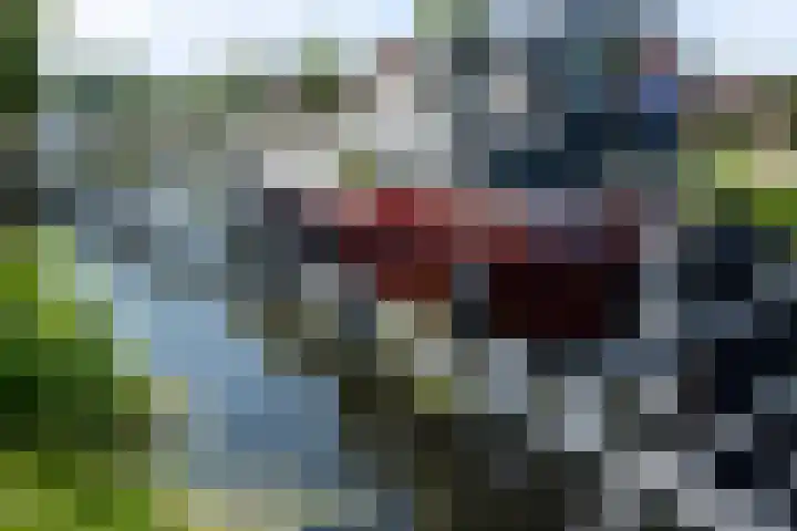het Kanaal 18 Assen thumbnail 53