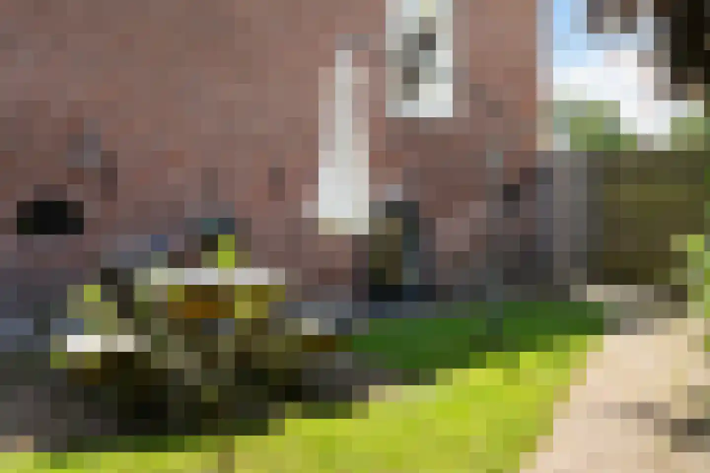 het Kanaal 45 Assen thumbnail 35
