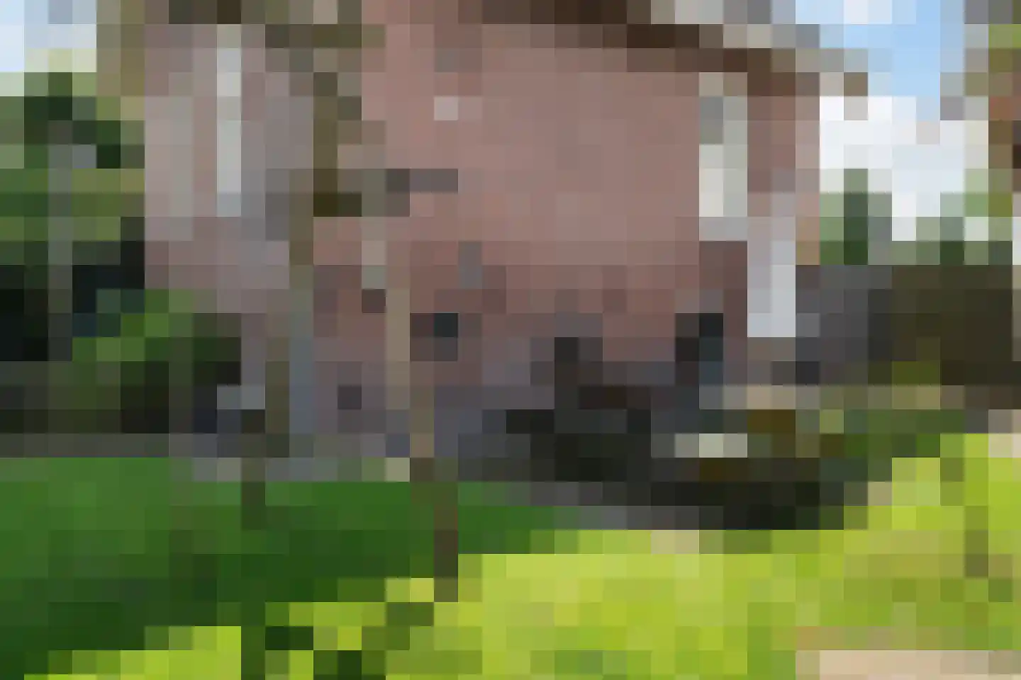 het Kanaal 45 Assen thumbnail 37