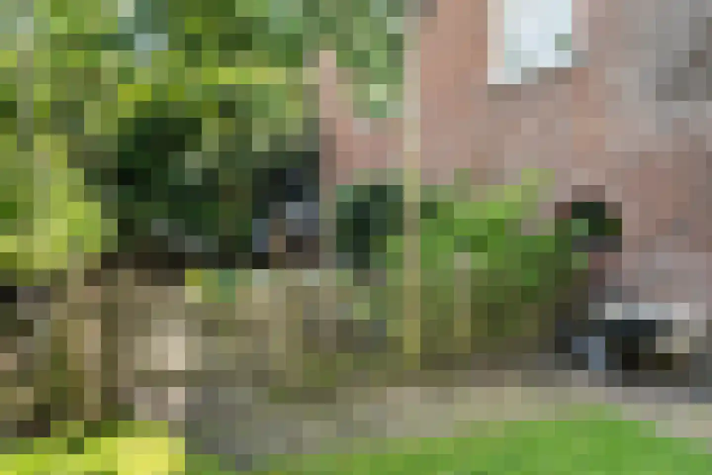 het Kanaal 45 Assen thumbnail 41