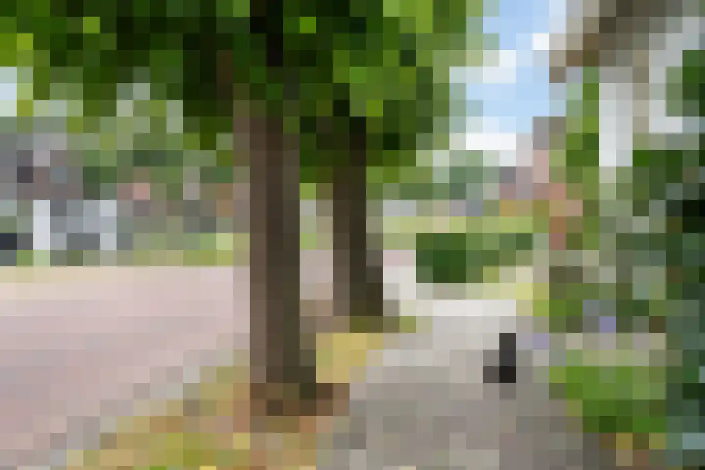 het Kanaal 45 Assen thumbnail 55