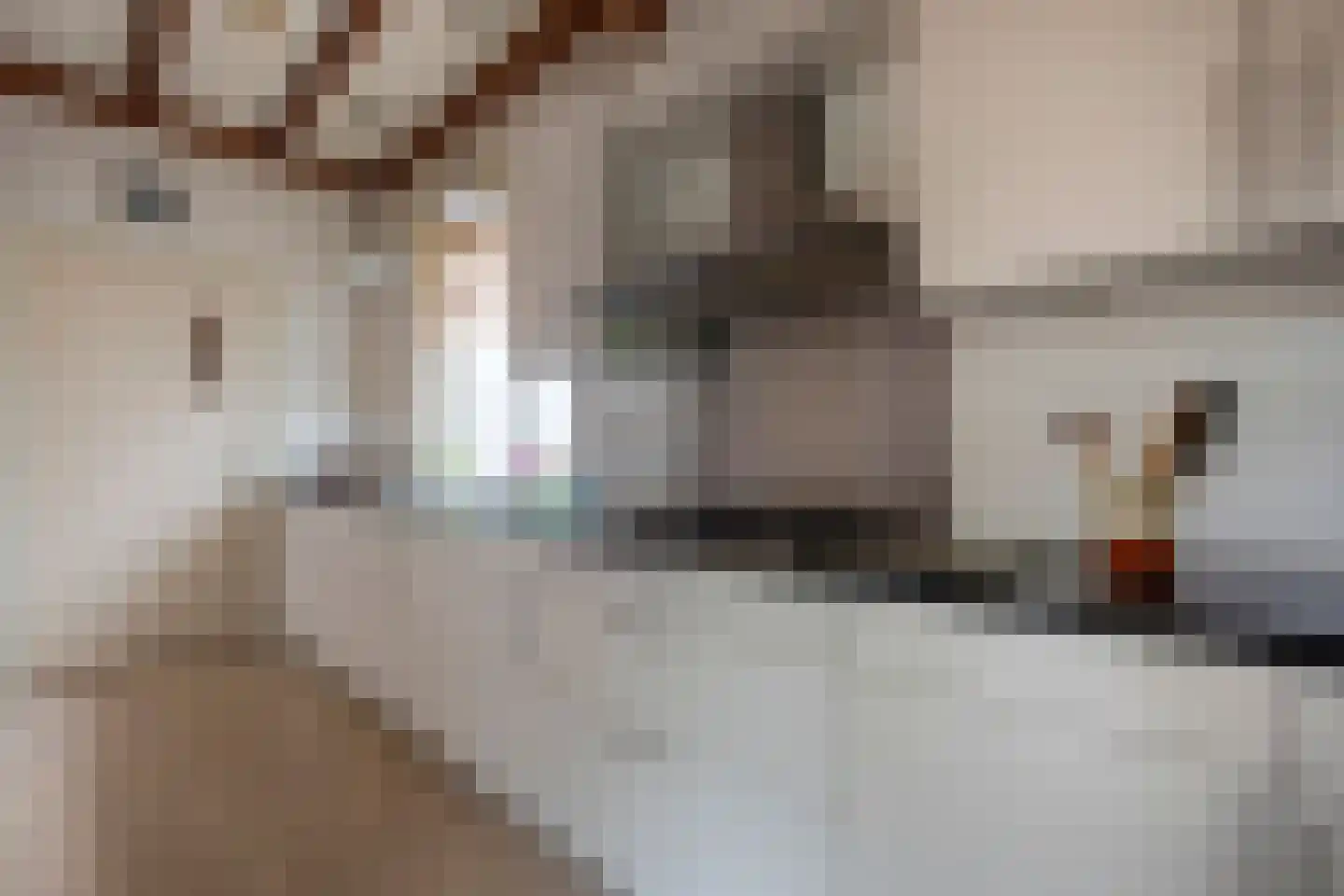 het Kanaal 8 Assen thumbnail 23