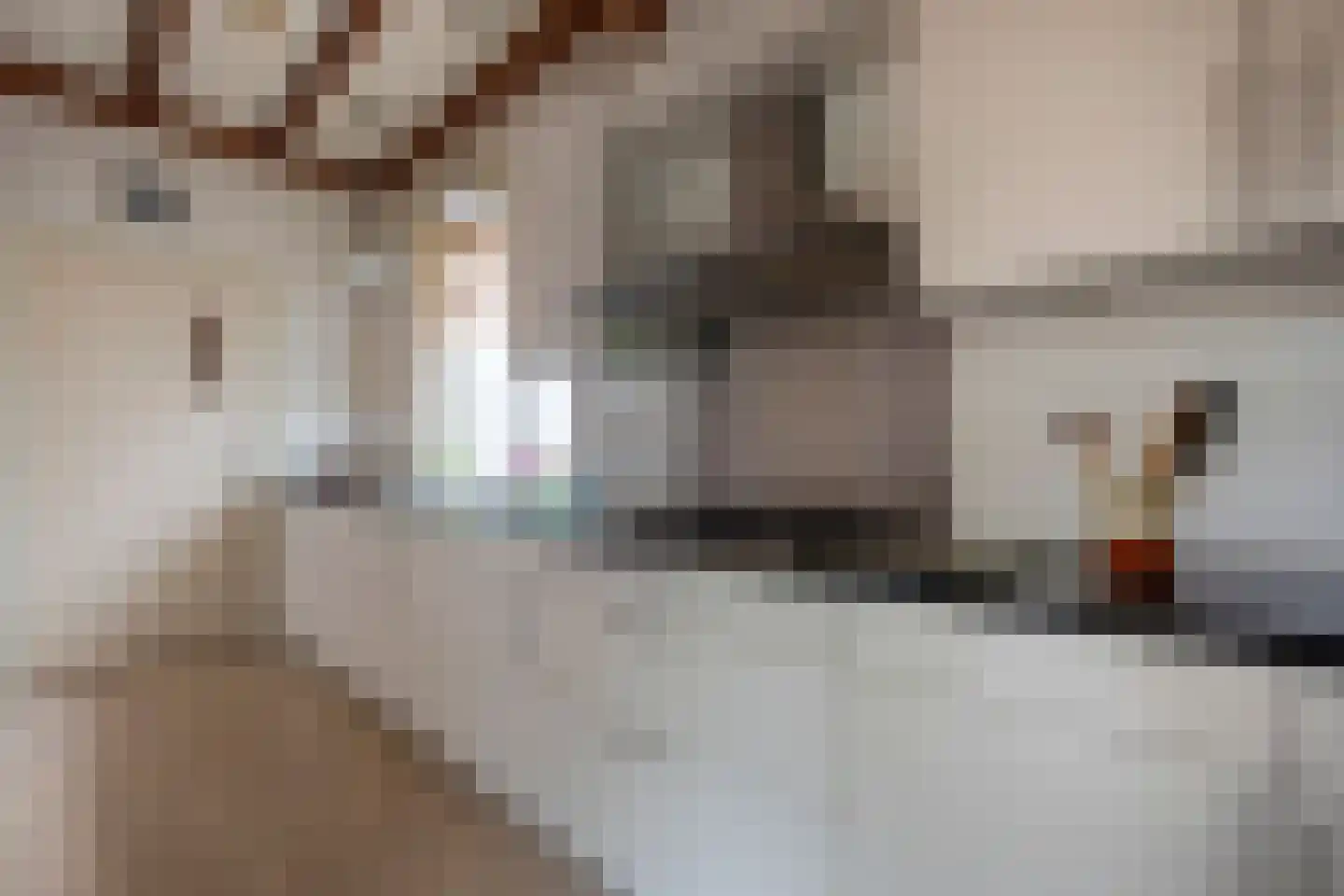 het Kanaal 8 Assen thumbnail 26