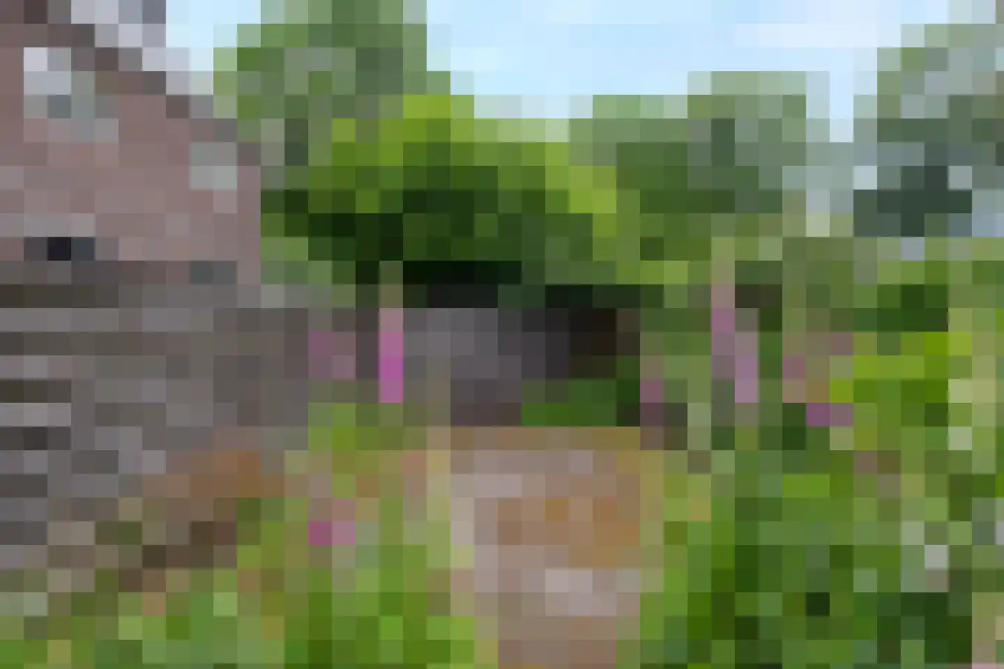 het Kanaal 8 Assen thumbnail 35