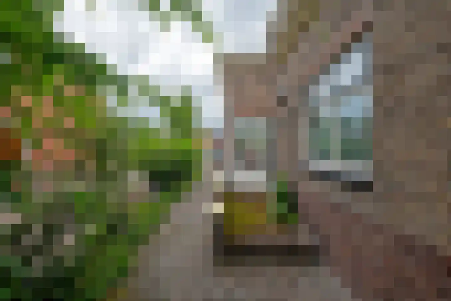 het Kanaal 8 Assen thumbnail 38