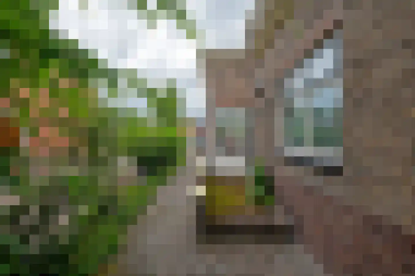 het Kanaal 8 Assen thumbnail 41