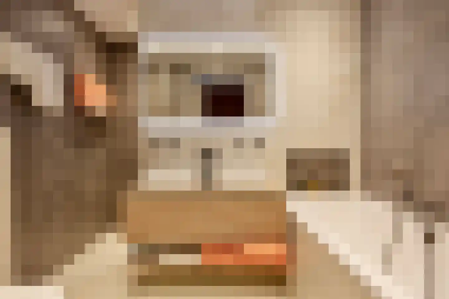 Het Kanon 13 Bunschoten-Spakenburg thumbnail 20