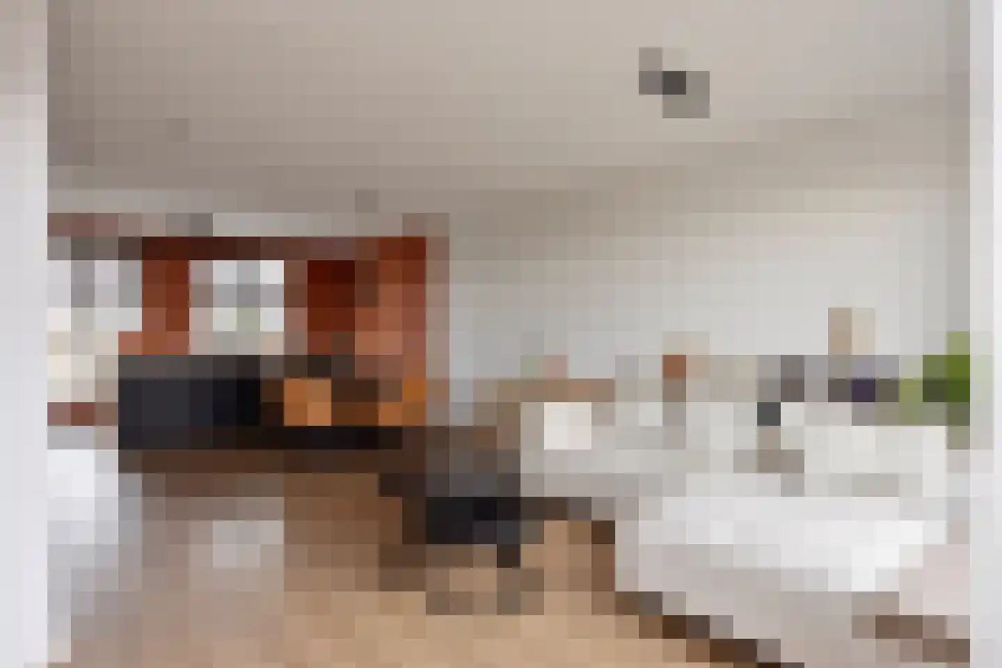 Het Kanon 13 Bunschoten-Spakenburg thumbnail 8