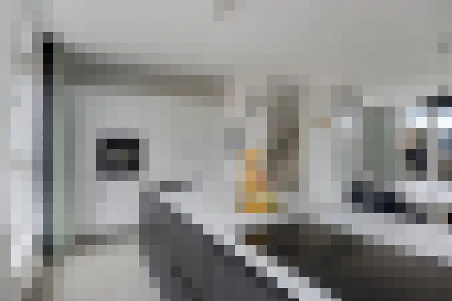Het Kanon 2 Bunschoten-Spakenburg thumbnail 22