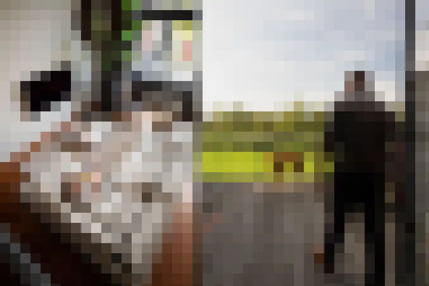 Het Kanteel 32 Waalwijk thumbnail 11