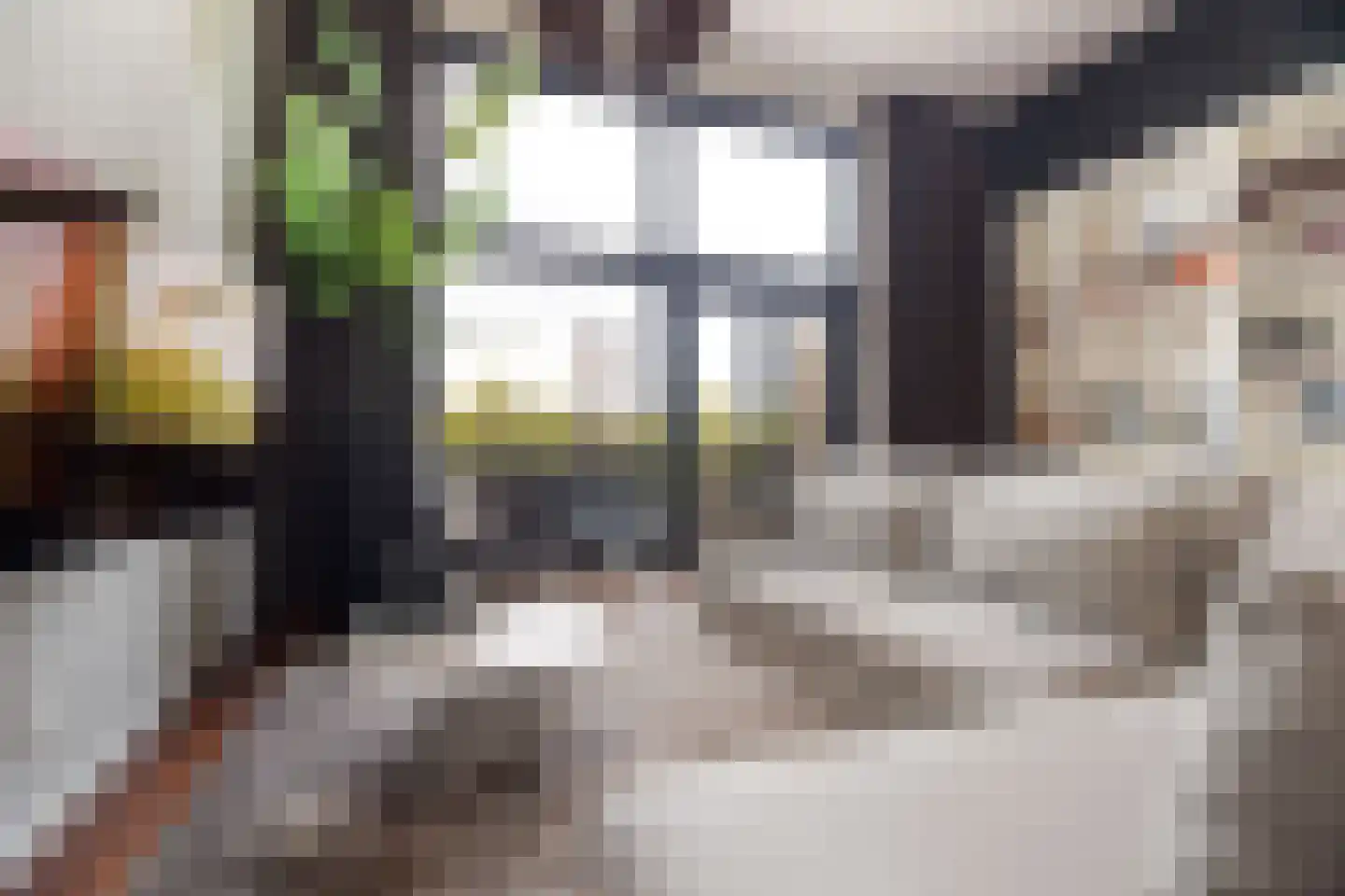 Het Kanteel 32 Waalwijk thumbnail 13