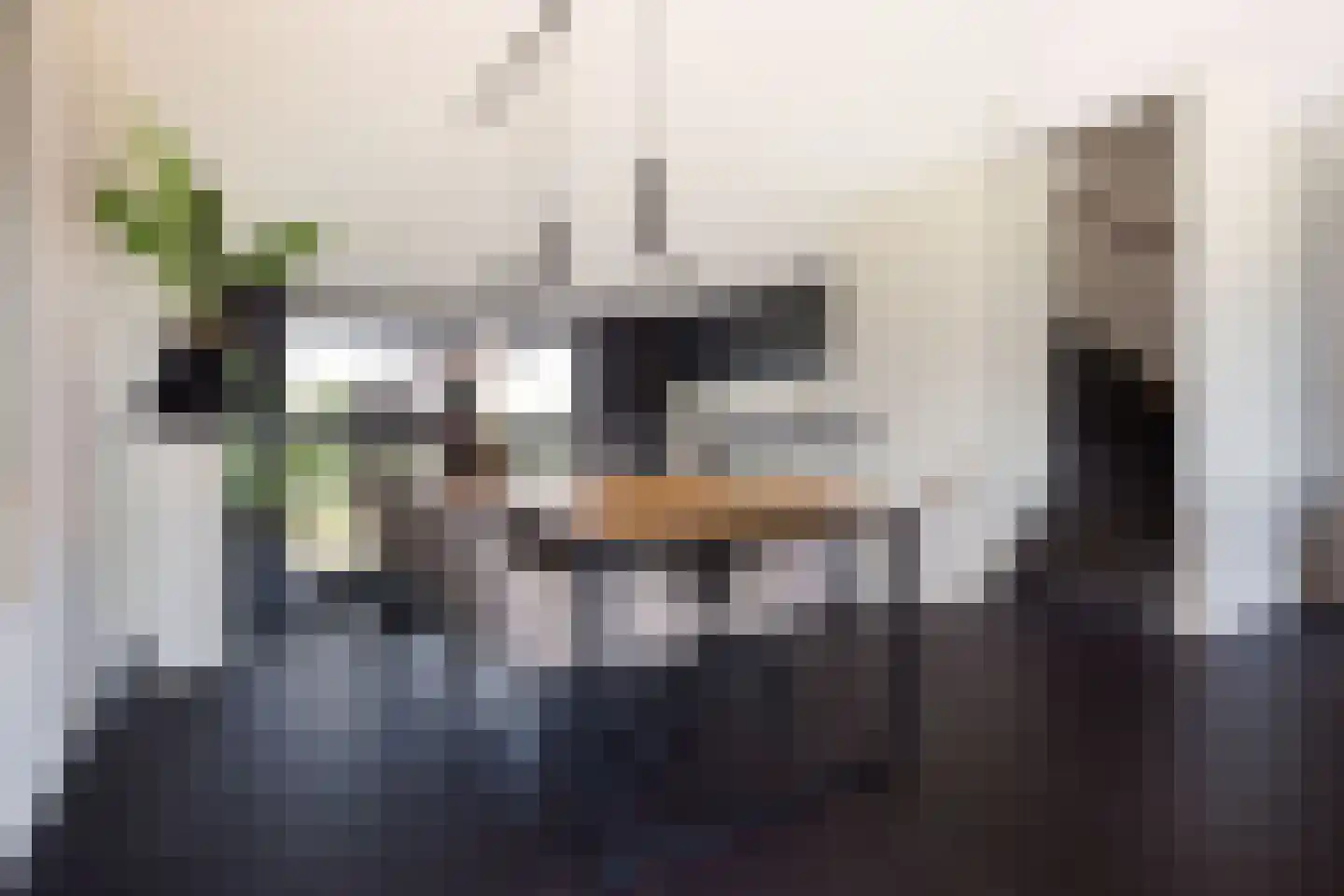 Het Kanteel 32 Waalwijk thumbnail 19