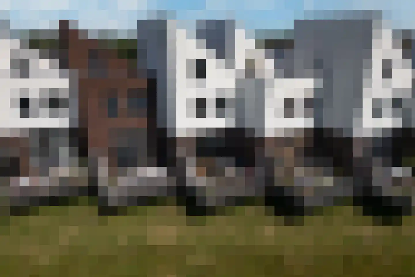 Het Kanteel 32 Waalwijk thumbnail 27