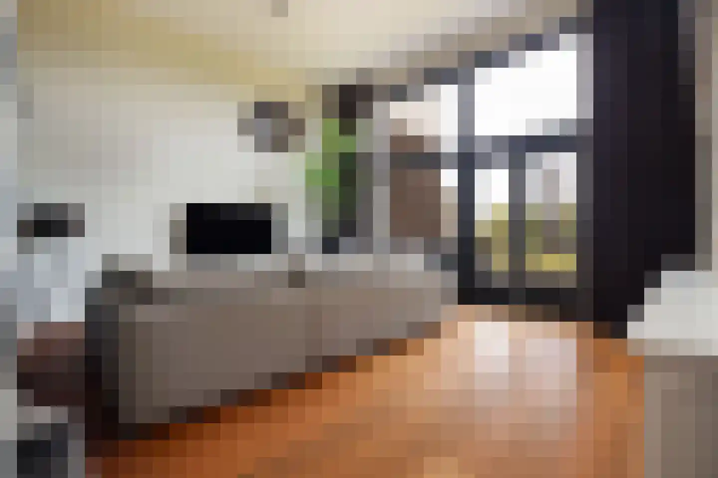 Het Kanteel 32 Waalwijk thumbnail 4