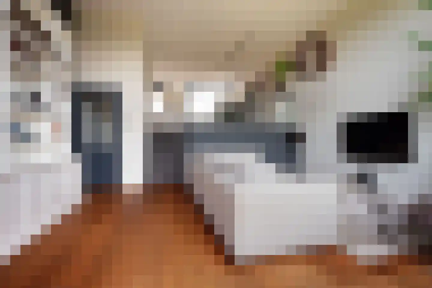Het Kanteel 32 Waalwijk thumbnail 5