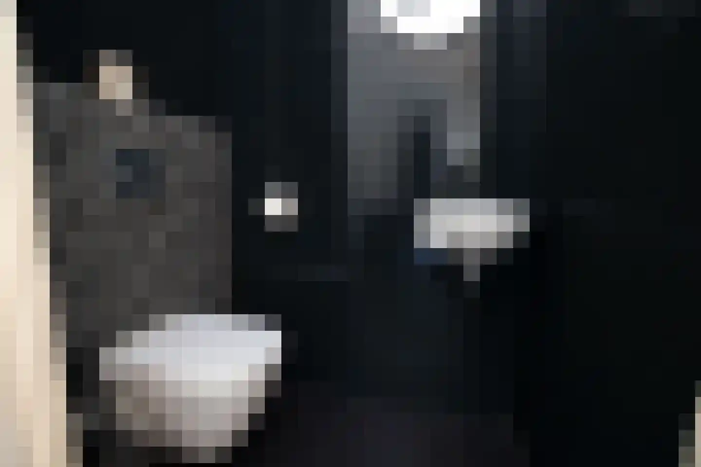 Het Kanteel 32 Waalwijk thumbnail 8