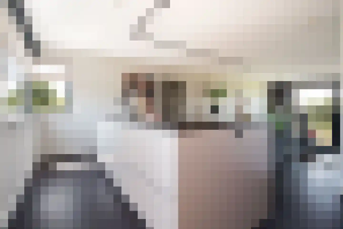 Het Kanteel 32 Waalwijk thumbnail 8