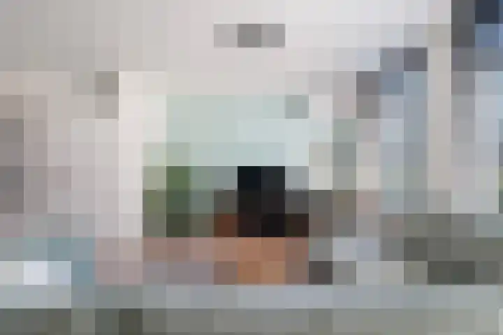 Het Kapittel 41 Boxtel thumbnail 12