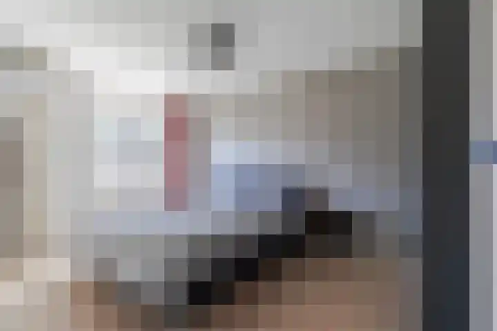 Het Kapittel 41 Boxtel thumbnail 24