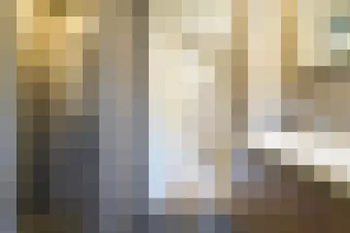 Het Kapittel 41 Boxtel thumbnail 27