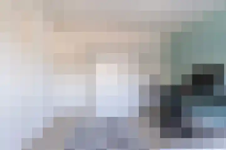 Het Kapittel 41 Boxtel thumbnail 39