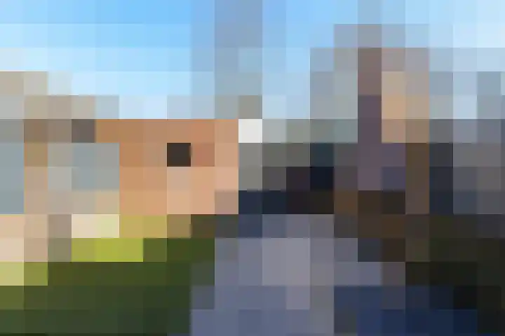 Het Kapittel 41 Boxtel thumbnail 38