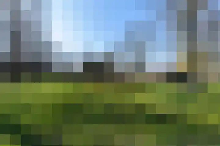 Het Kapittel 41 Boxtel thumbnail 42