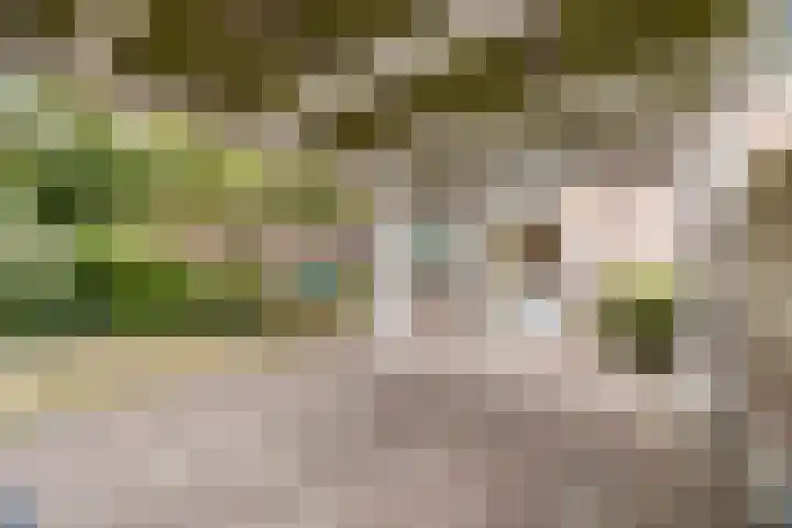 Het Kapittel 41 Boxtel thumbnail 46
