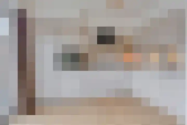 Het Karnhuis 79 Apeldoorn thumbnail 12