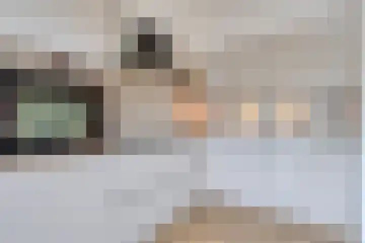Het Karnhuis 79 Apeldoorn thumbnail 13