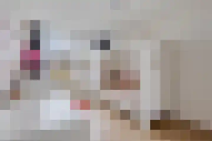 Het Karnhuis 79 Apeldoorn thumbnail 17
