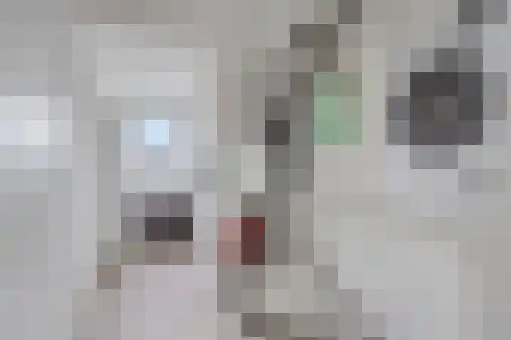 Het Karnhuis 79 Apeldoorn thumbnail 28
