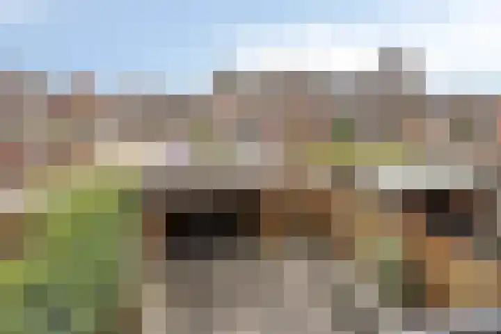 Het Karnhuis 79 Apeldoorn thumbnail 35