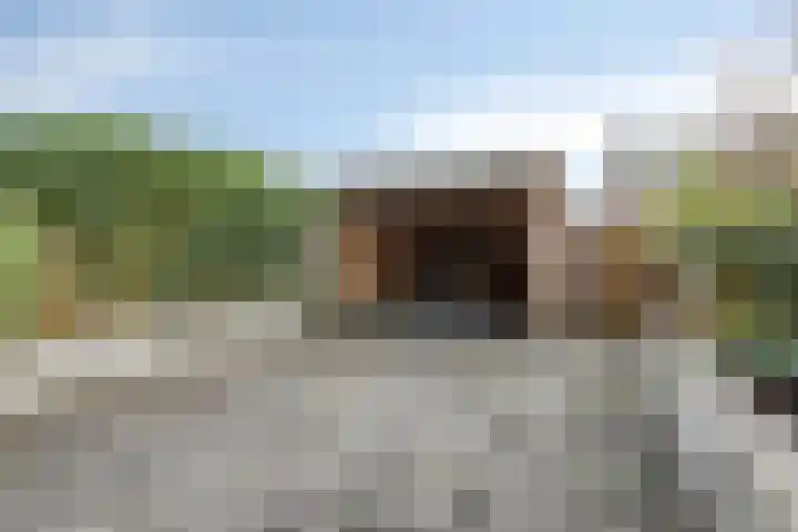 Het Karnhuis 79 Apeldoorn thumbnail 38