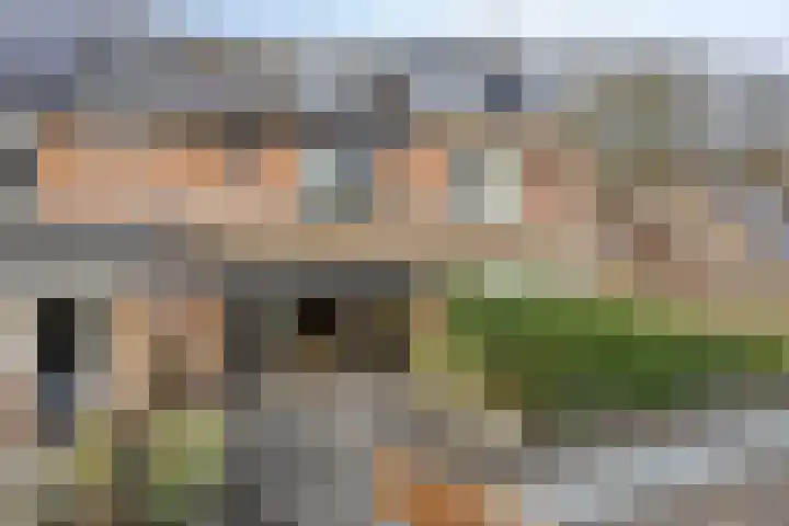 Het Karnhuis 79 Apeldoorn thumbnail 41